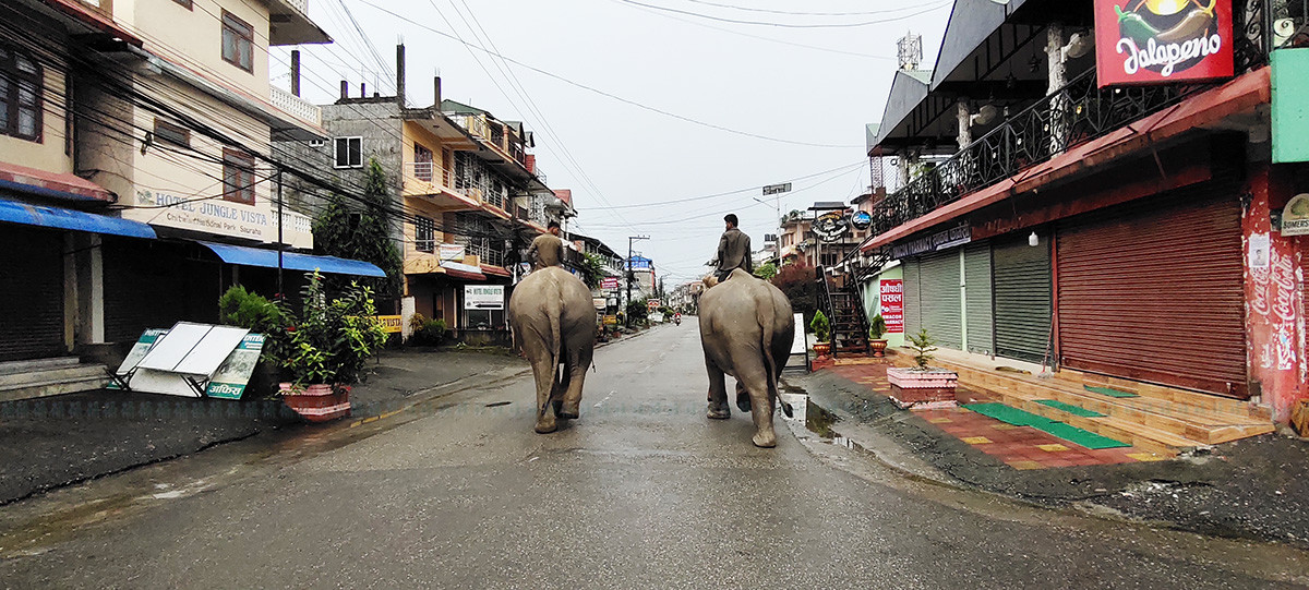 https://www.setopati.com/uploads/shares/2020/sujita/sauraha ma chahalpahal/sauraha visit (1).jpg